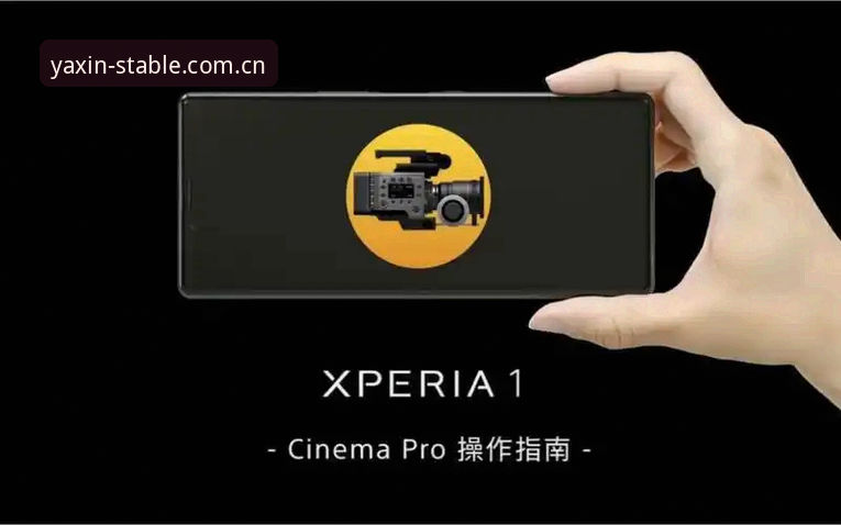 亚星手机版安装操作教程：从下载到使用的完整指南