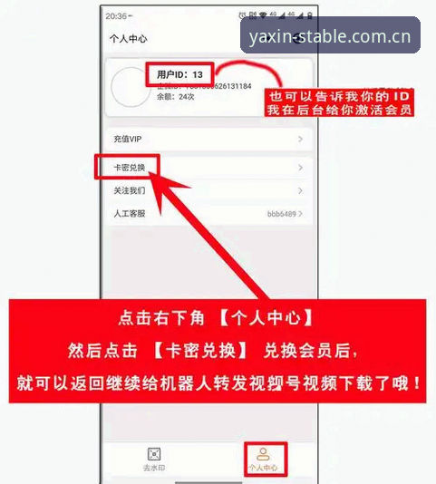 亚星手机版获取方式全教程：从安装到登录一步到位